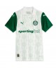 Günstige Palmeiras Vitor Roque #9 Auswärtstrikot 2025-26 Kurzarm